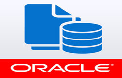 Oracle数据库管理工具有哪些?-北京开云网页版公司