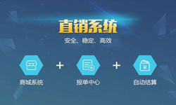 手机直销系统开云网页版价格-北京软件外包公司