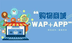 手机商城app开云网页版流程-北京开云网页版外包公司