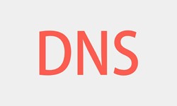 北京开云网页版、DNS的基本概念、北京开云网页版开云网页版