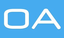 软件外包公司、OA系统开发功能有哪些？费用是多少-开云网页版公司[北京开云网页版]