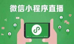 微信小程序开发、直播小程序开发-开云网页版开云网页版公司 