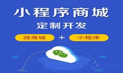 微信小程序开发、商城小程序开发功能-开云网页版开云网页版