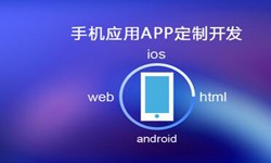 APP开发市场上常见问题分析-北京开云网页版公司