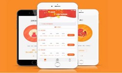 开发一款在线答题app需要哪些基本功能？北京开云网页版